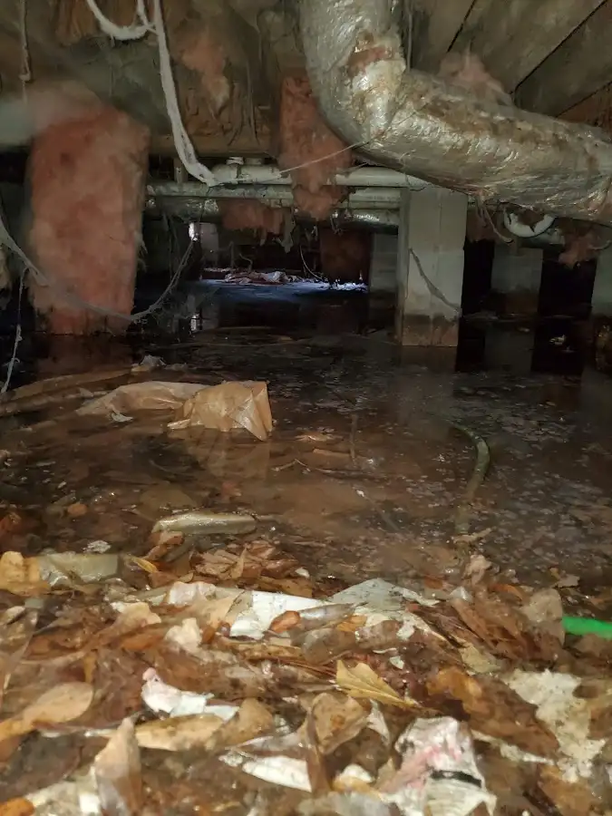 Crawl space flood assessment for Leak Detection & Repair in Makaha